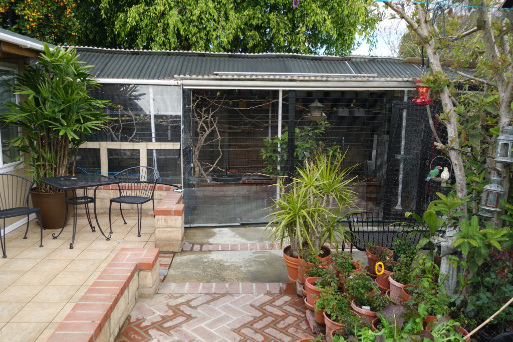 Aviary front viewing and feeding section 2015