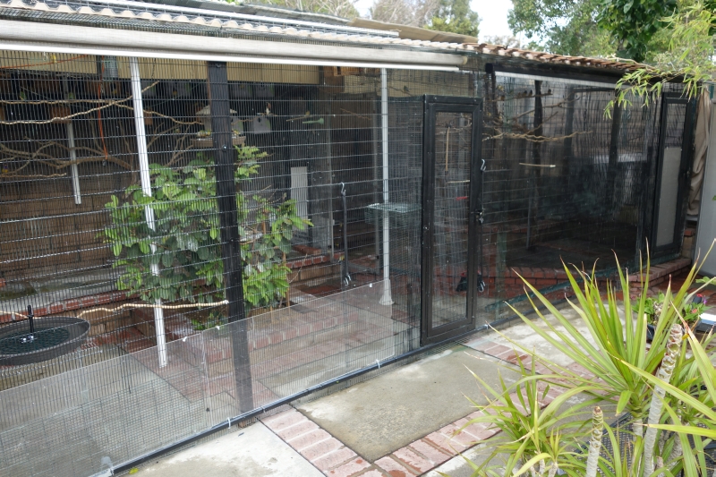 Aviary with entry access on both sections.