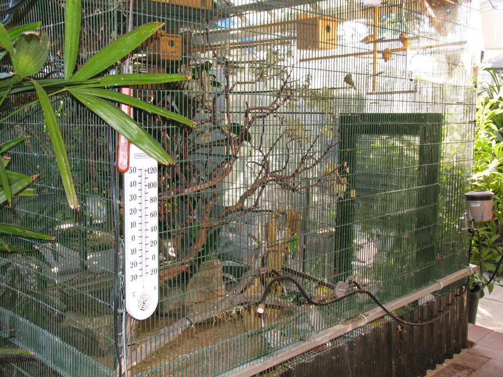 Outdoor aviary Aviary_4