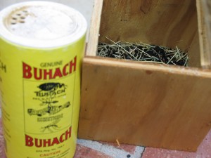 Box_with_powder_insecticide