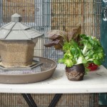 Feeding area 1 with window access