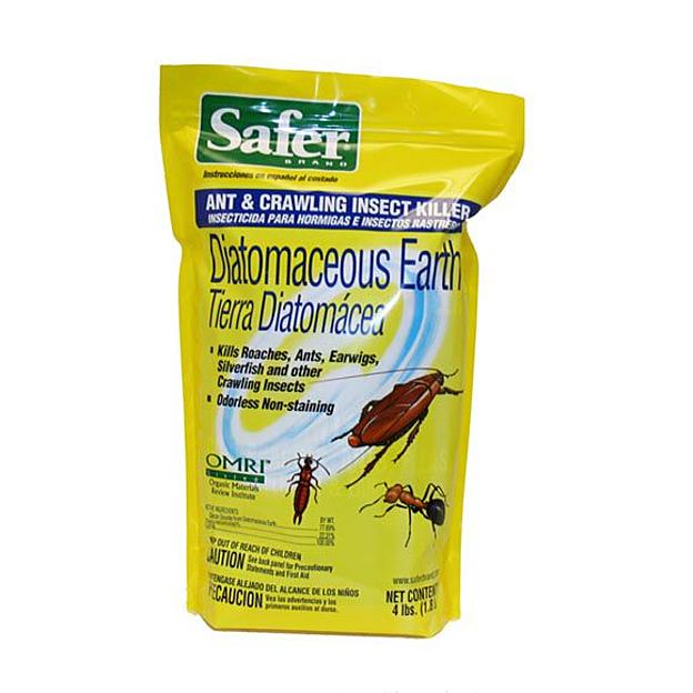 Organic Diatomaceous earth powder